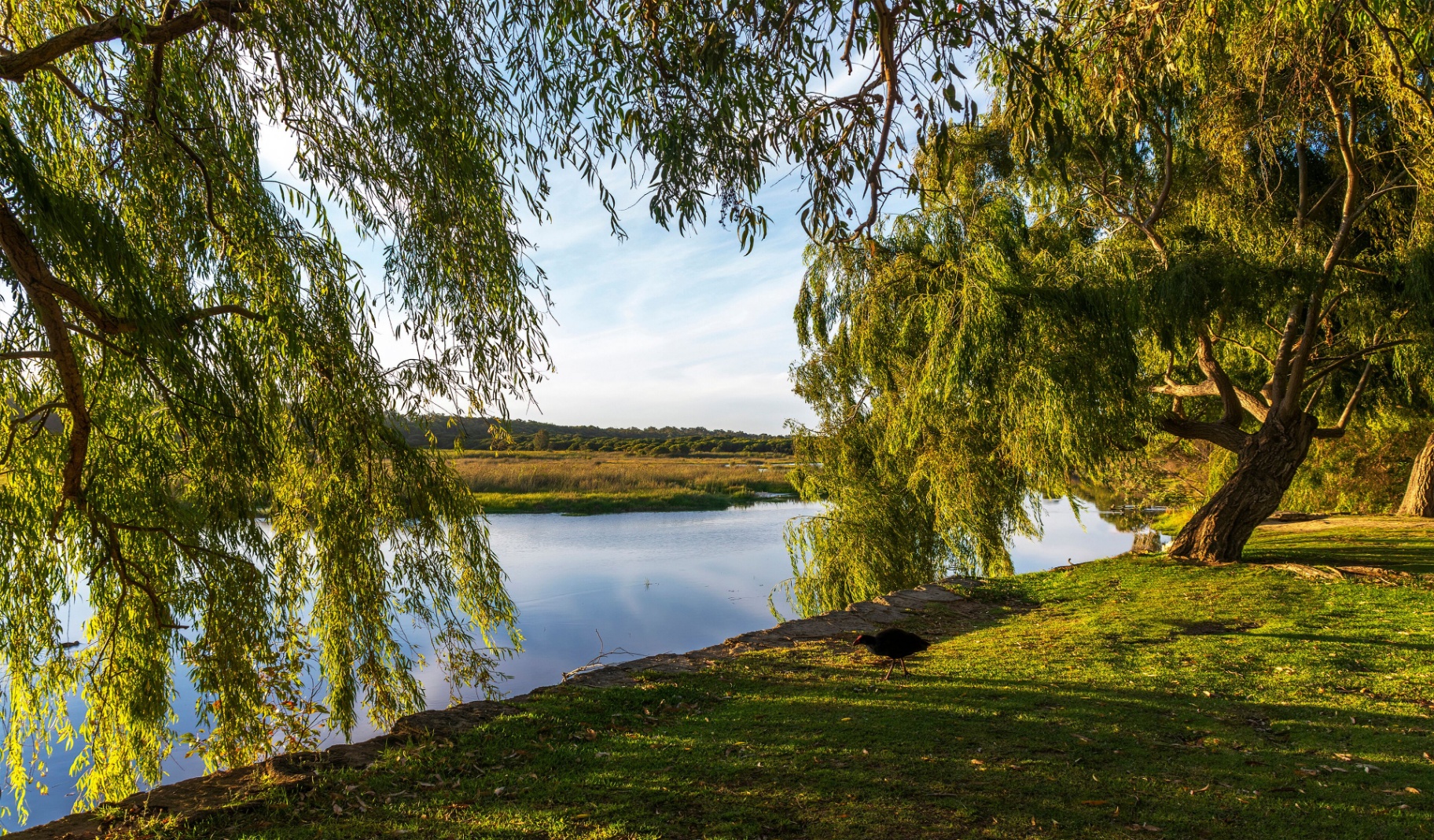 Wanneroo Perth